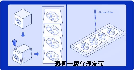 松江蔡司松江扫描电镜